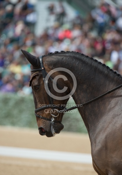 William Fox-Pitt and Bay My Hero Rolex 2015