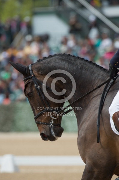 William Fox-Pitt and Bay My Hero Rolex 2015