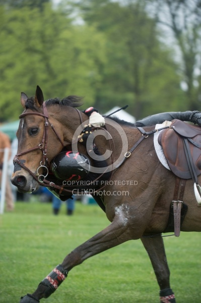 Rachel McDonough and Irish Rhythm Rolex 2015