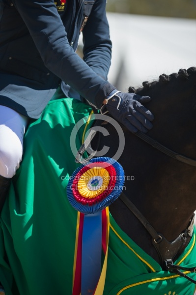 Michael Jung and Fischerrocana FST Rolex 2015
