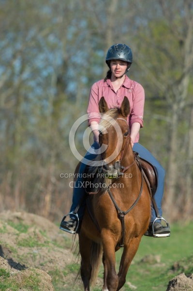 Tennessee Walker on the Trail