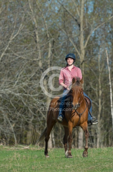 Tennessee Walker on the Trail
