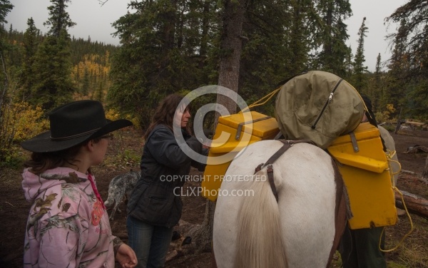 Packing the Pack Horse