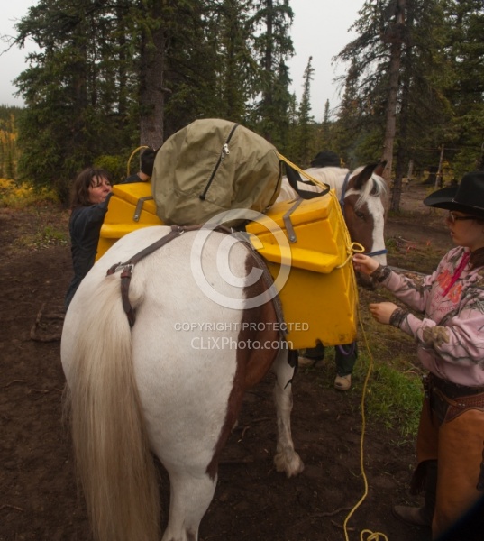 Packing the Pack Horse