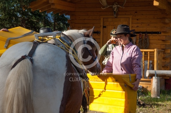 Packing the Pack Horse