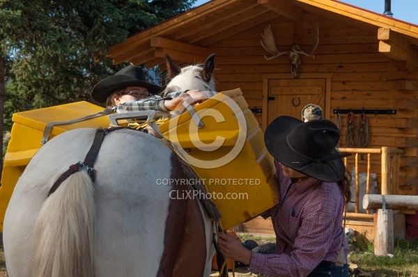 Packing the Pack Horse