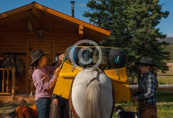 Packing the Pack Horse