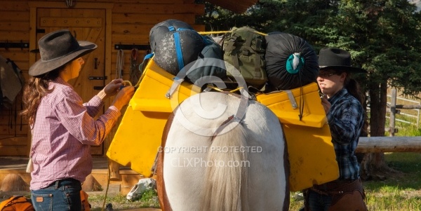 Packing the Pack Horse