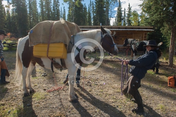 Packing the Pack Horse
