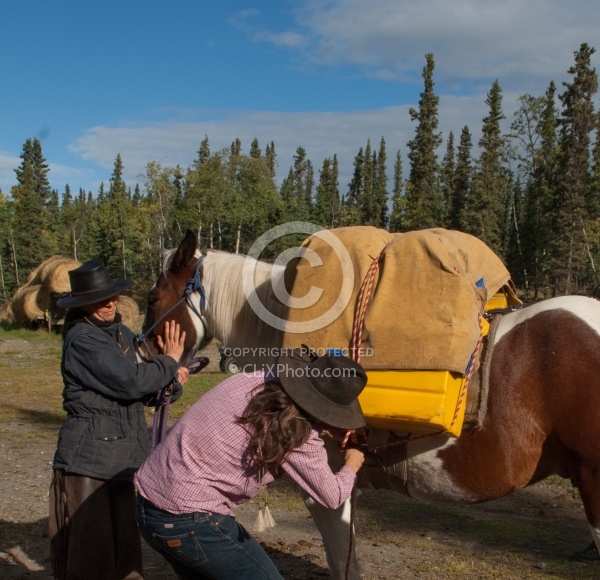 Packing the Pack Horse