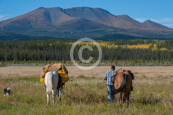 Packing the Pack Horse