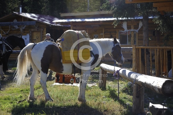 Yukon Pack Trip