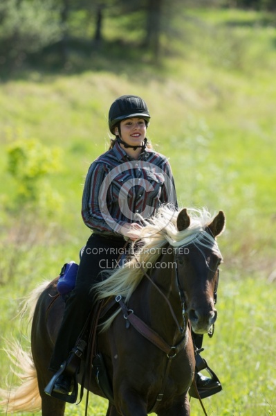 Rocky Mountain Horse on the Trail,Bonnie View Farms Tribute Kidd