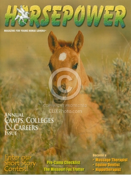 2009 MarchApril Horse Power