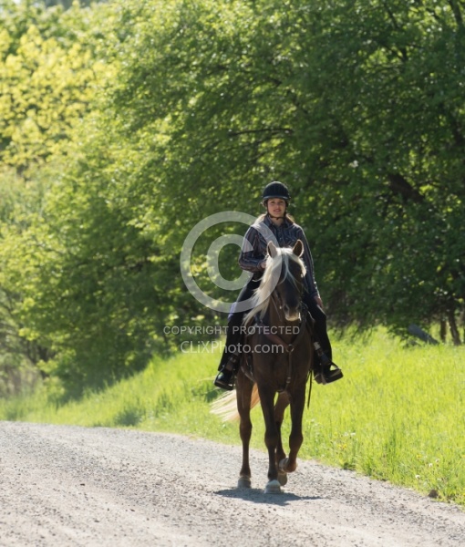 Rocky Mountain Horse on the Trail,Bonnie View Farms Tribute Kidd