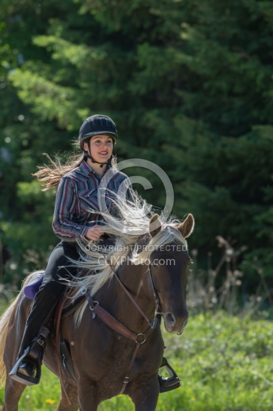 Rocky Mountain Horse on the Trail,Bonnie View Farms Tribute Kidd