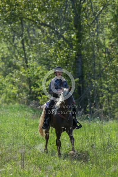 Rocky Mountain Horse on the Trail,Bonnie View Farms Tribute Kidd