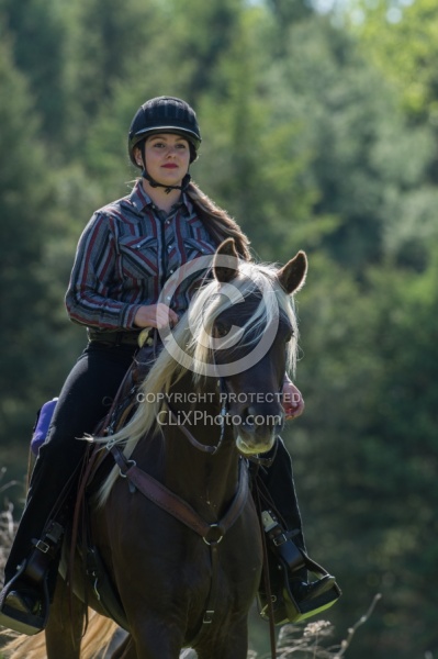 Rocky Mountain Horse on the Trail,Bonnie View Farms Tribute Kidd