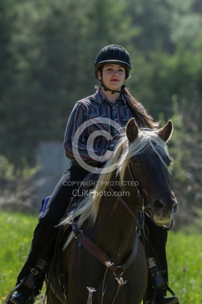 Rocky Mountain Horse on the Trail,Bonnie View Farms Tribute Kidd