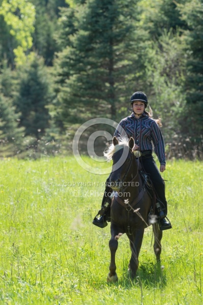 Rocky Mountain Horse on the Trail,Bonnie View Farms Tribute Kidd
