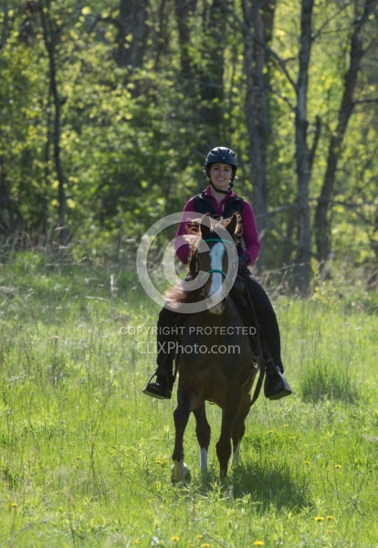 Rocky Mountain Horse on the Trail,Bonnie View Farms Miss Bonnie