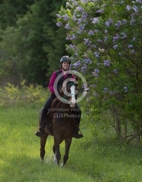 Rocky Mountain Horse on the Trail,Bonnie View Farms Miss Bonnie