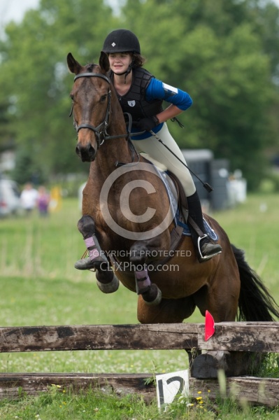 Morgan QH cross on cross country Cornerstone Short Course Event