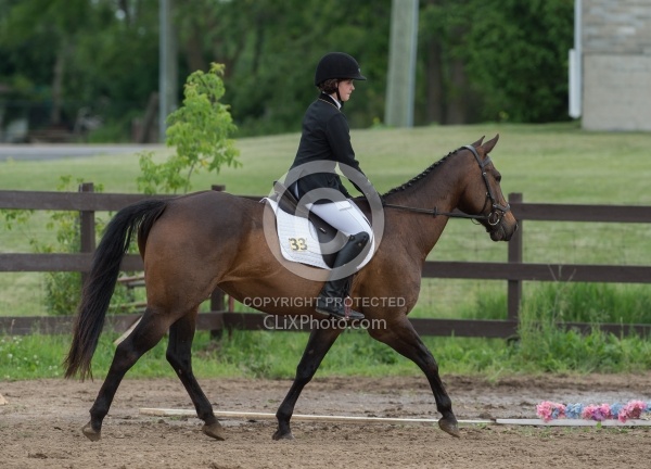 Morgan Quarter Horse Cross Cornerstone Short Course Event