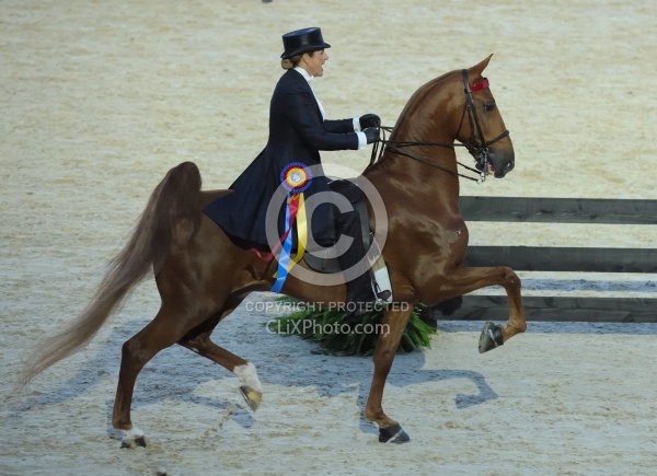 Alltech WEG Opening Ceremonies Saddle Seat 