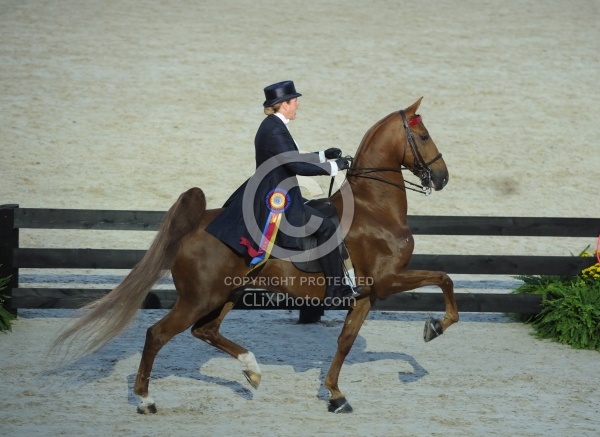 Alltech WEG Opening Ceremonies Saddle Seat 