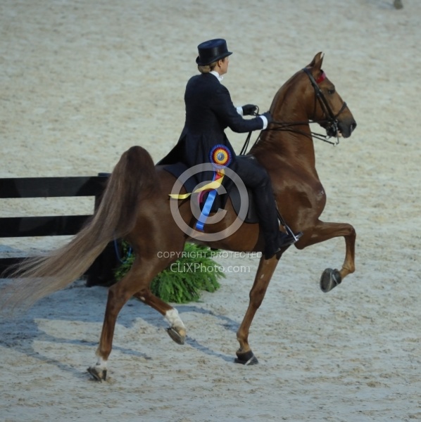 Alltech WEG Opening Ceremonies Saddle Seat 