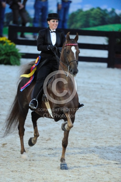 Alltech WEG Opening Ceremonies Saddle Seat 