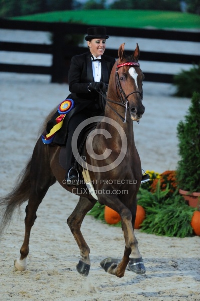 Alltech WEG Opening Ceremonies Saddle Seat 