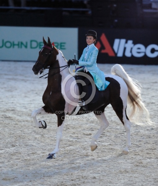 Alltech WEG Opening Ceremonies Saddle Seat 