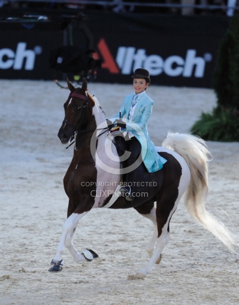 Alltech WEG Opening Ceremonies Saddle Seat 
