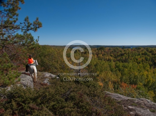 Being Seen on the Trail