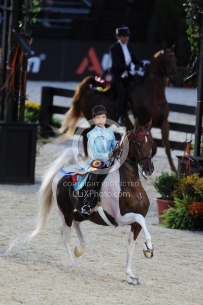 Alltech WEG Opening Ceremonies Saddle Seat 