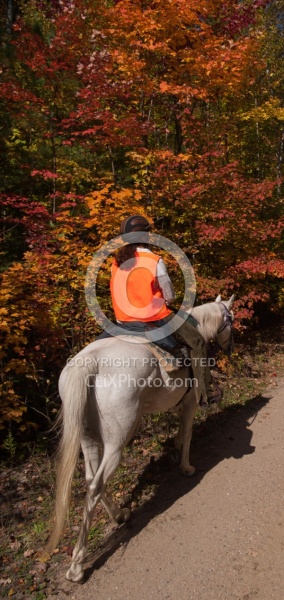 Being Seen on the Trail