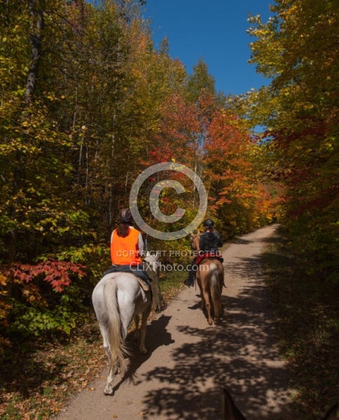 Being Seen on the Trail