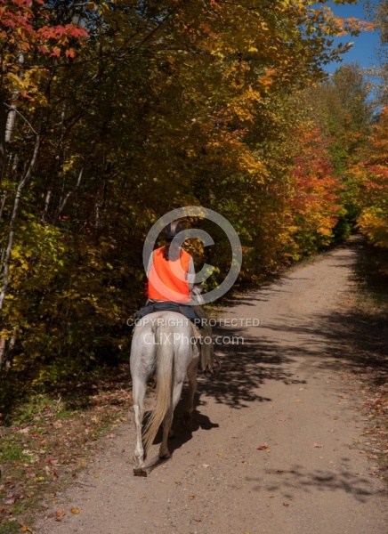 Being Seen on the Trail