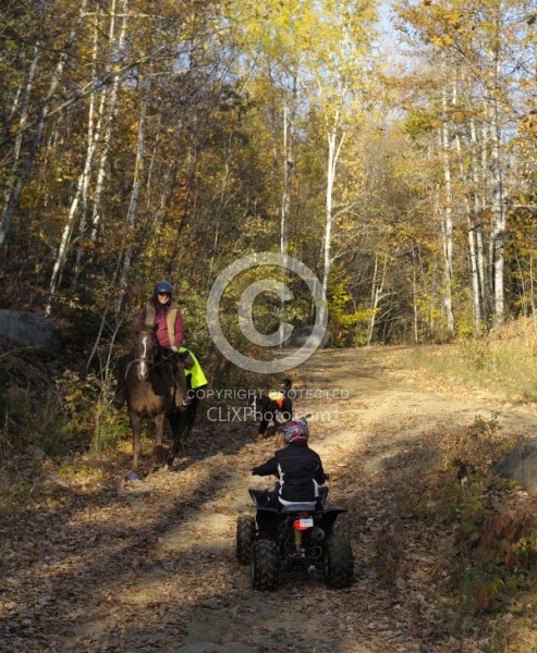 Being Seen on the Trail