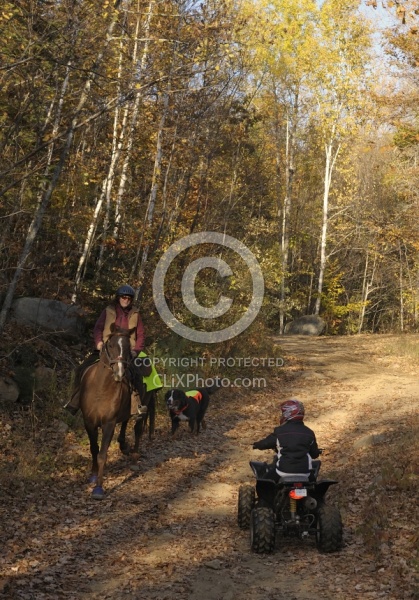 Being Seen on the Trail