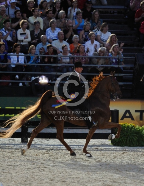 Alltech WEG Opening Ceremonies Saddle Seat 