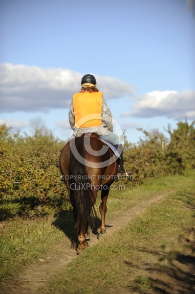 Being Seen on the Trail