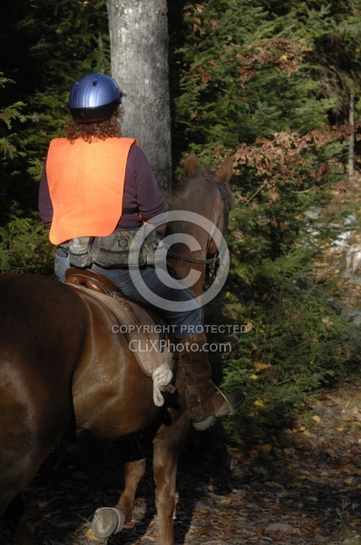 Being Seen on the Trail