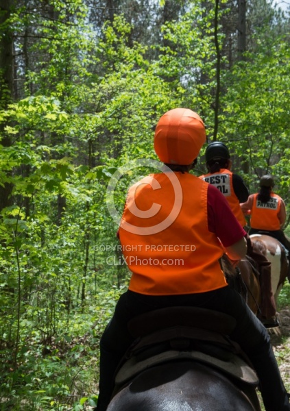 Being Seen on the Trail