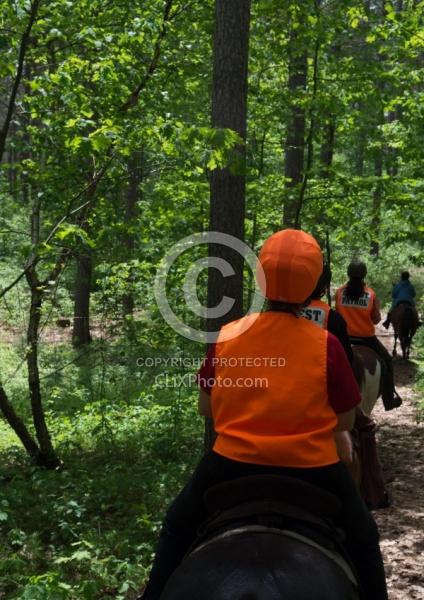 Being Seen on the Trail