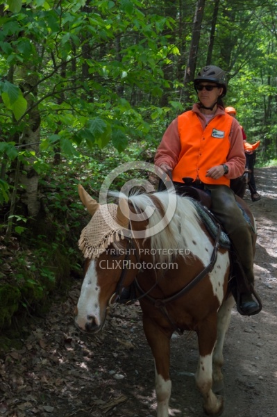 Being Seen on the Trail