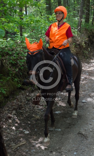 Being Seen on the Trail