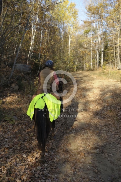 Being Seen on the Trail